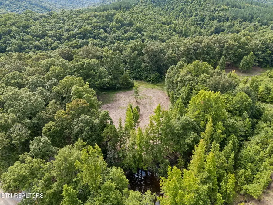 Sheep Ranch Rd, Robbins, TN 37852 - #3