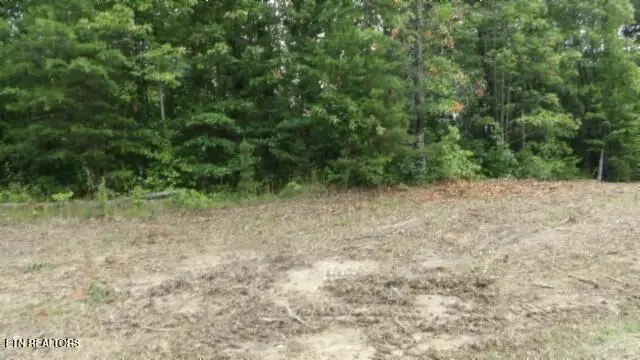Lot 222 Hilltop Lane, Wilder, TN 38589 - #2