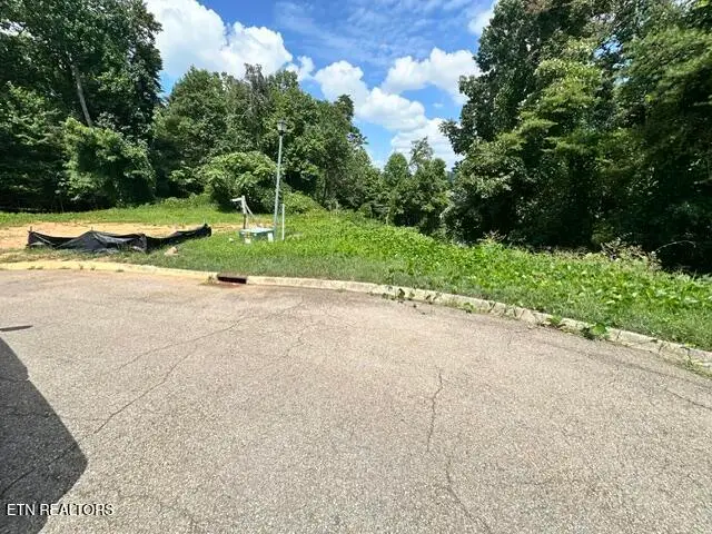 481 Laurel Ridge Lane, Knoxville, TN 37922 - #2