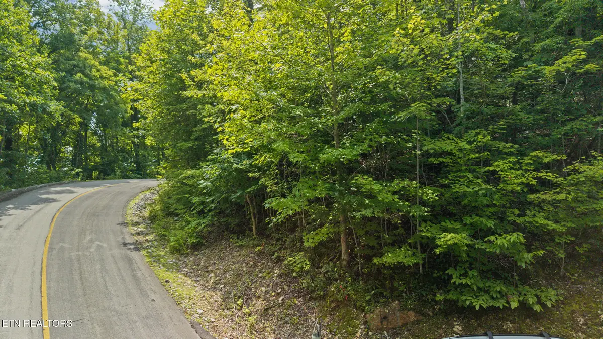 Whetstone Rd, Sevierville, TN 37862 - #1