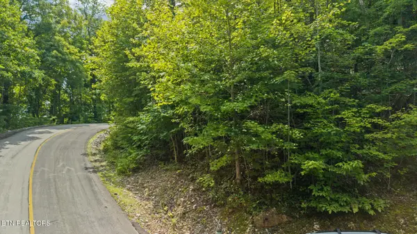 Whetstone Rd, Sevierville, TN 37862