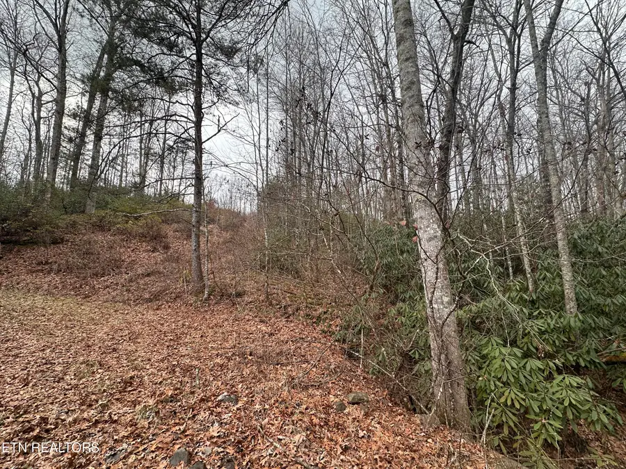 3.82 Acres S Of Franklin Rd, Jamestown, TN 38556 - #2