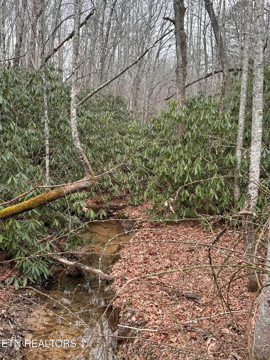 3.82 Acres S Of Franklin Rd, Jamestown, TN 38556 - #3
