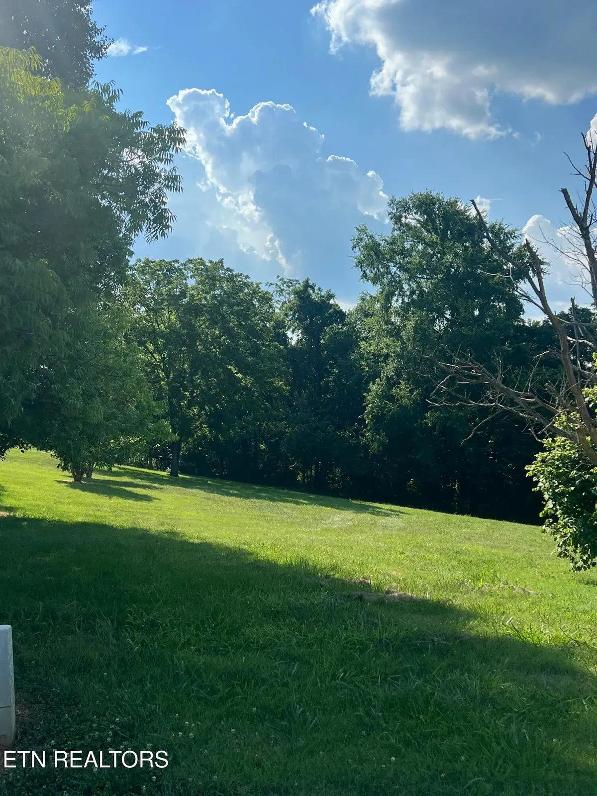 140 Hayden Court, Maryville, TN 37804 - #1