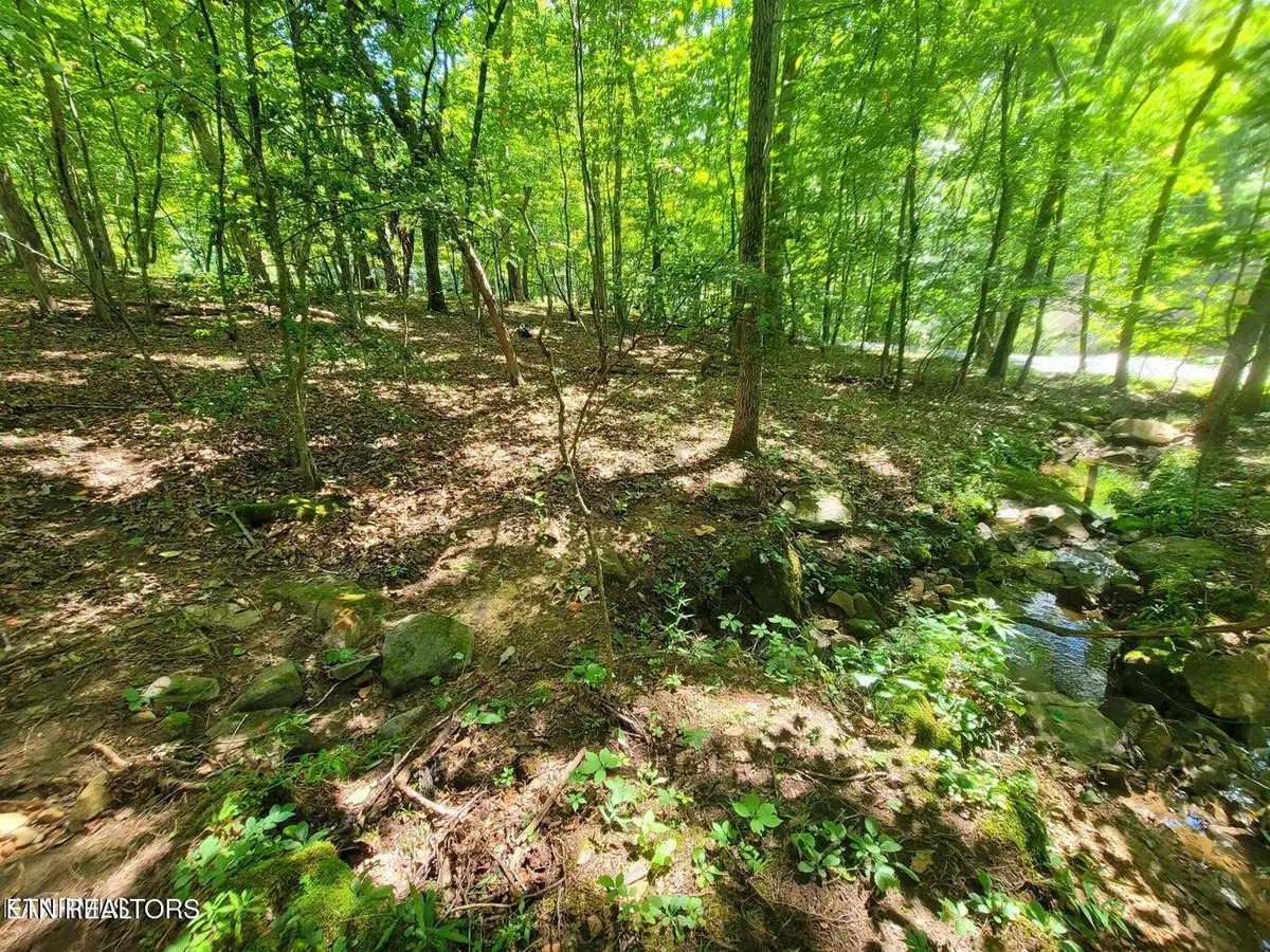 161 Sugarbush Circle, Crossville, TN 38558 - #1