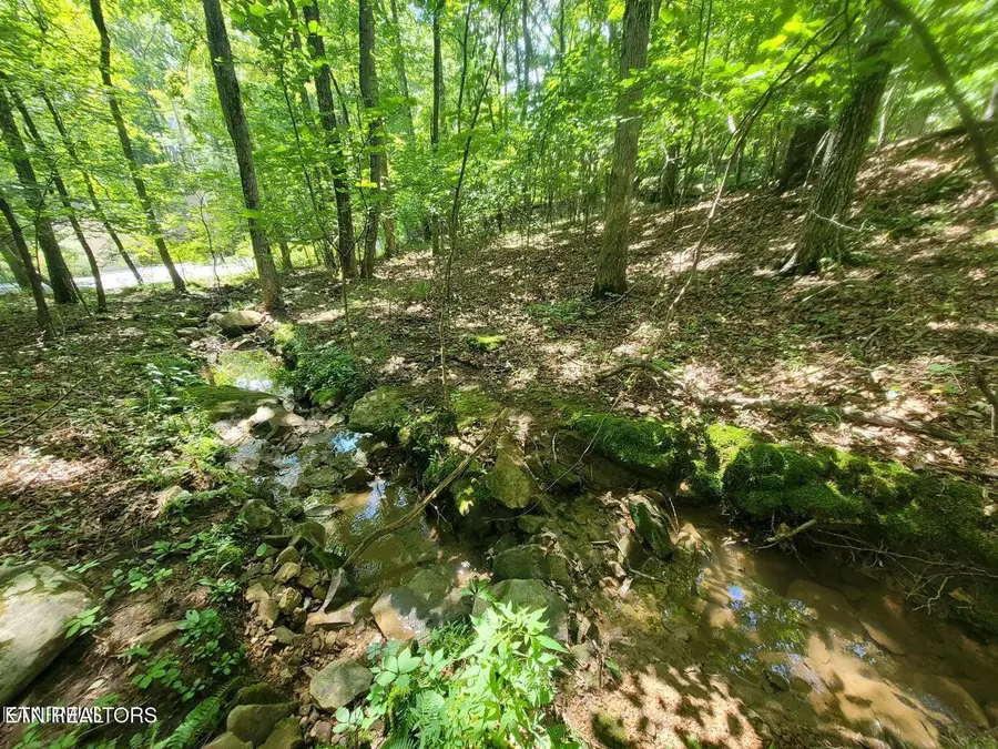 161 Sugarbush Circle, Crossville, TN 38558 - #2