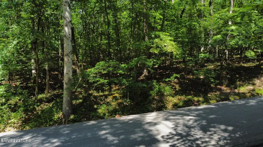 161 Sugarbush Circle, Crossville, TN 38558 - #3