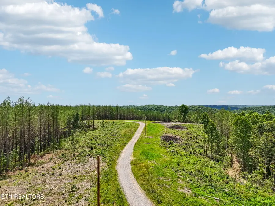 Nydeck Rd, Robbins, TN 37852 - #2