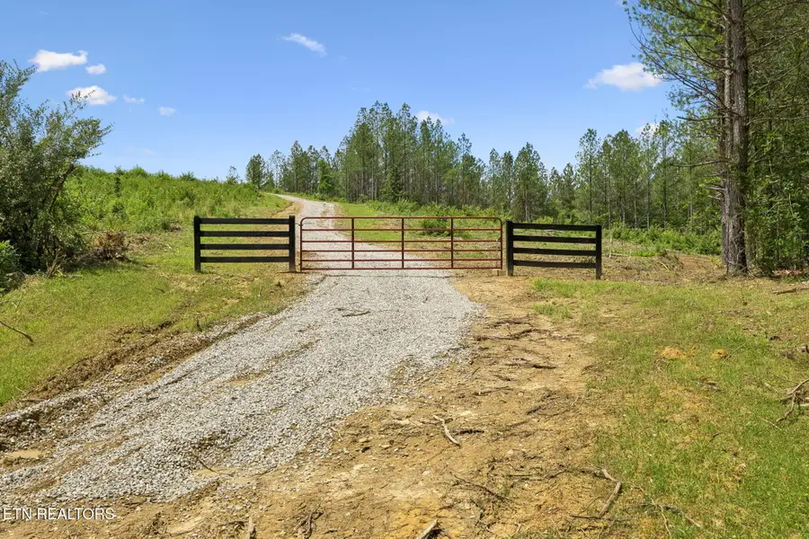 Nydeck Rd, Robbins, TN 37852 - #3