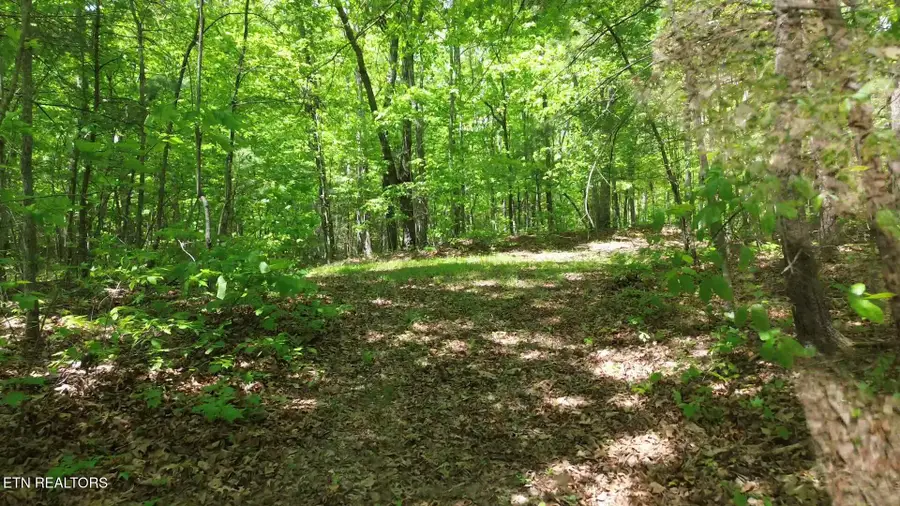 Peters Ford Rd, Sunbright, TN 37872 - #2
