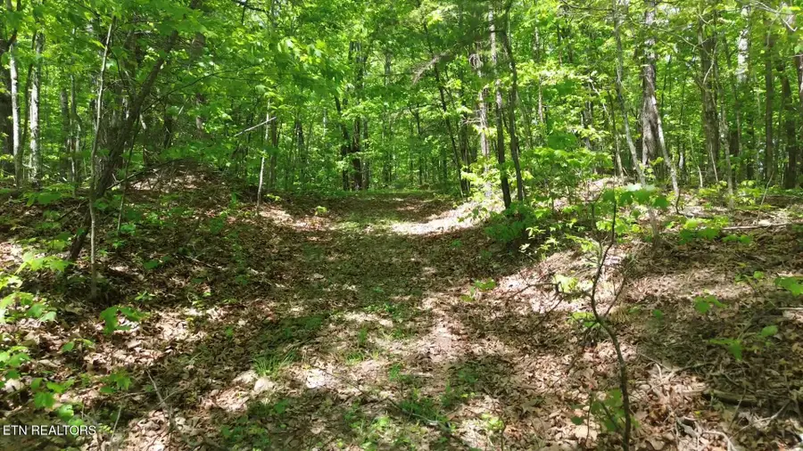Peters Ford Rd, Sunbright, TN 37872 - #3