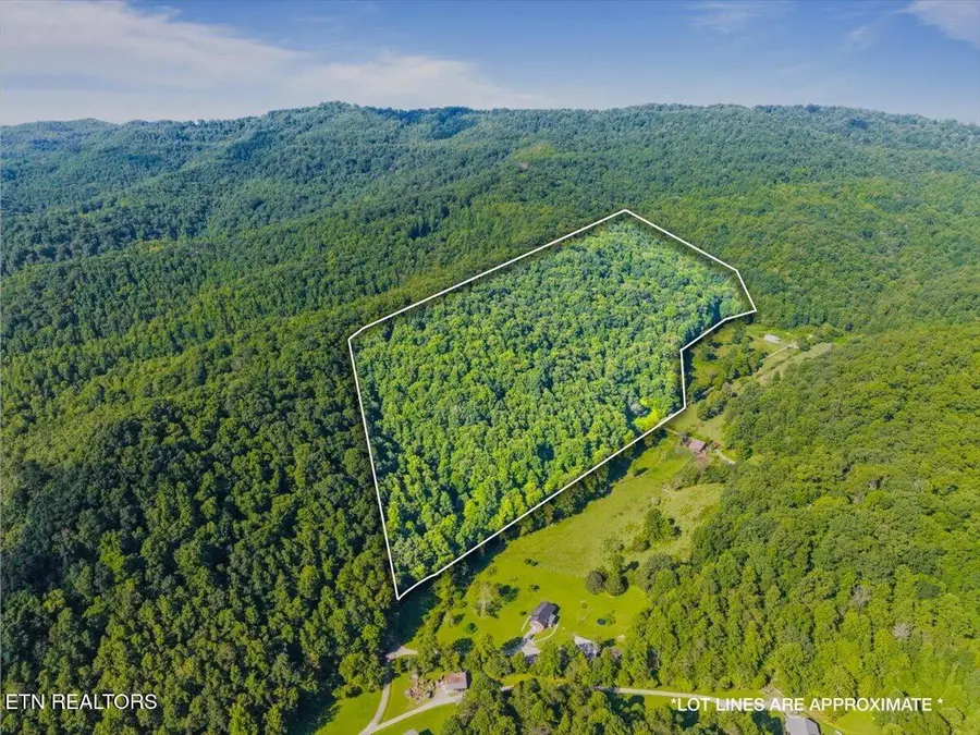 259 Walden Hollow Lane, Lafollette, TN 37766 - #3