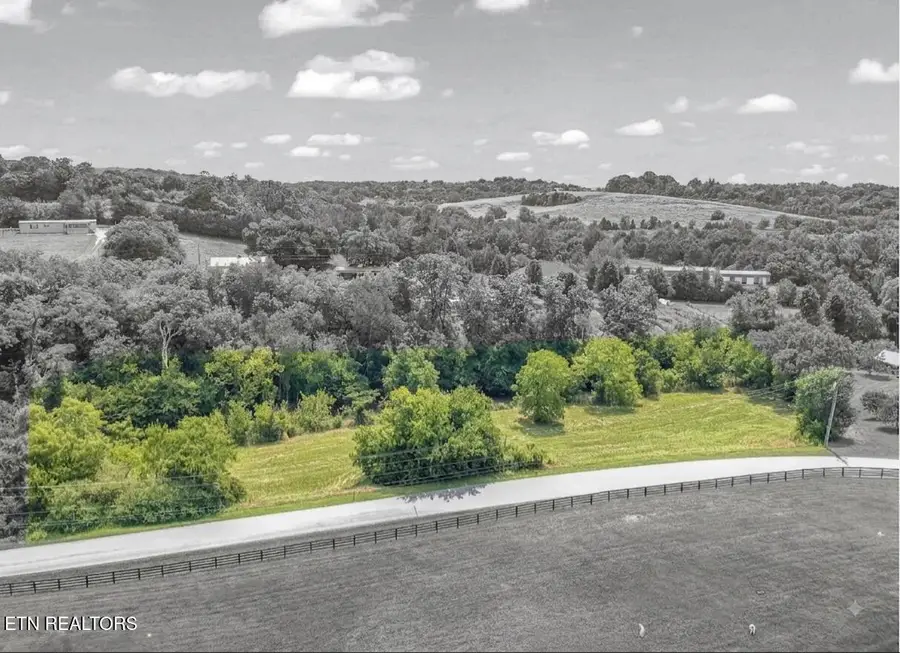 Richland Rd, Blaine, TN 37709 - #3