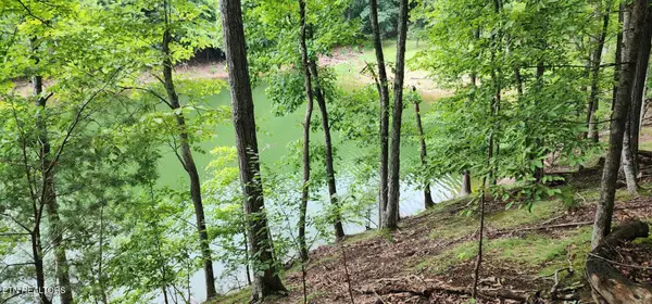 2109 Kahiti Court, Mooresburg, TN 37811