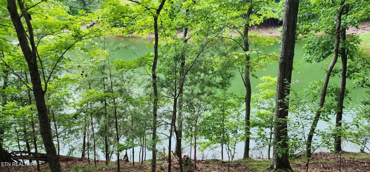 Kahiti Court, Mooresburg, TN 37811 - #1