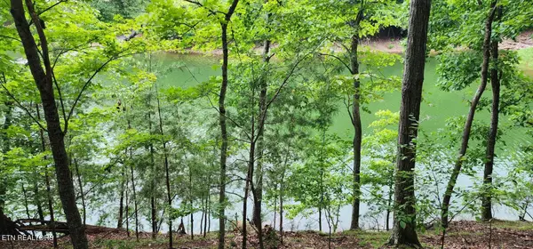Kahiti Court, Mooresburg, TN 37811