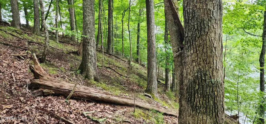 Kahiti Court, Mooresburg, TN 37811 - #2
