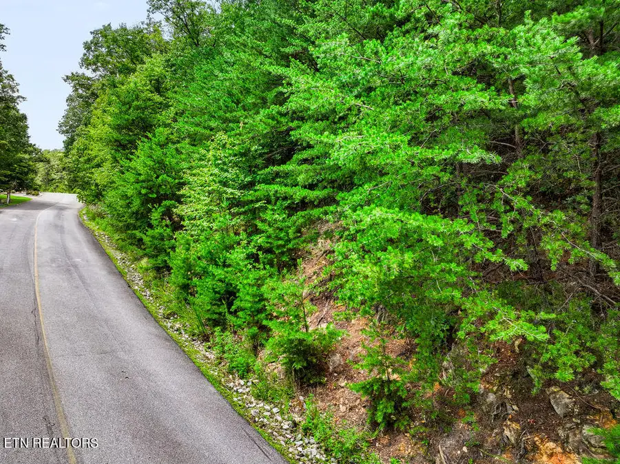 Lot 127E Settlers View Lane, Sevierville, TN 37862 - #3