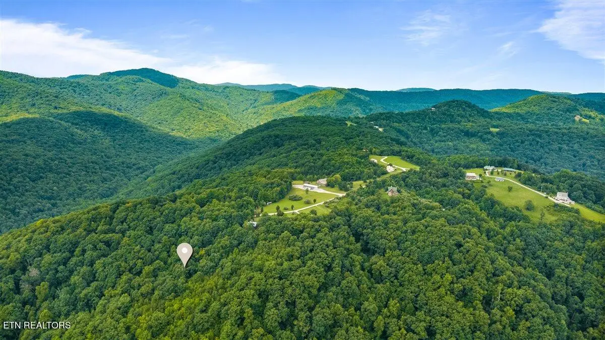 Racoon Lane, Pioneer, TN 37847 - #1