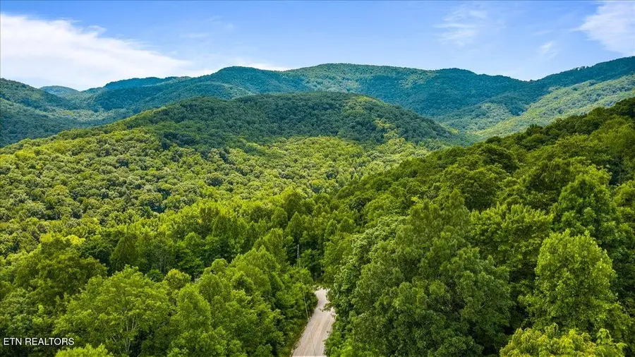 Racoon Lane, Pioneer, TN 37847 - #2