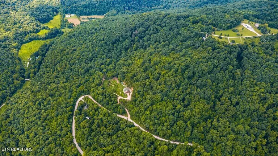 Racoon Lane, Pioneer, TN 37847 - #3