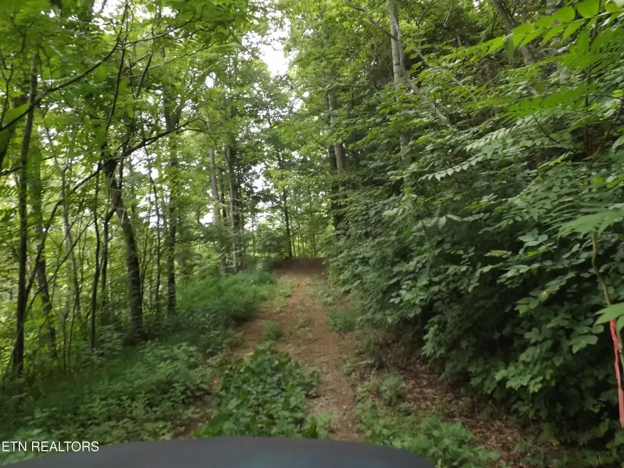 TBD Roy Thomas Lane, New Tazewell, TN 37825 - #3