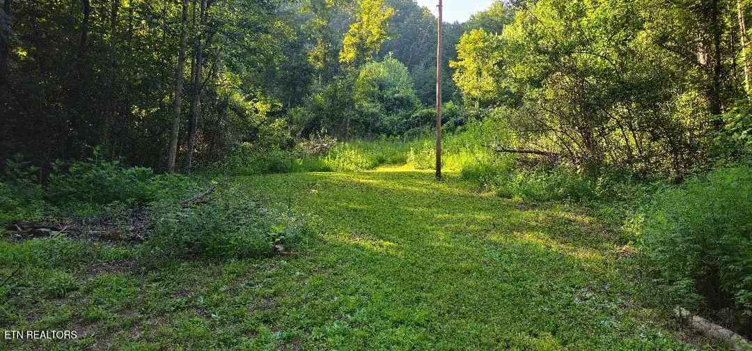 6504 Highway 66, Rogersville, TN 37857 - #1