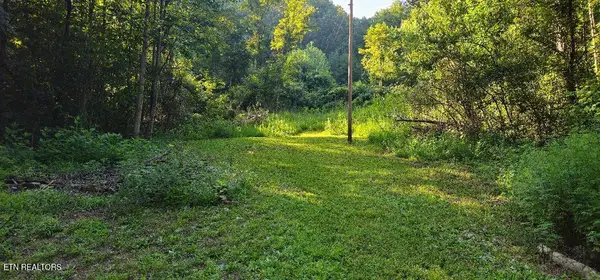 6504 Highway 66, Rogersville, TN 37857