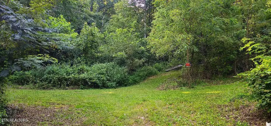 6504 Highway 66, Rogersville, TN 37857 - #2
