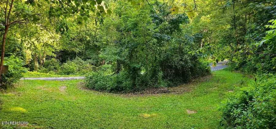 6504 Highway 66, Rogersville, TN 37857 - #3