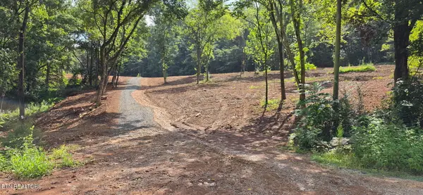 County Road 267, Niota, TN 37826