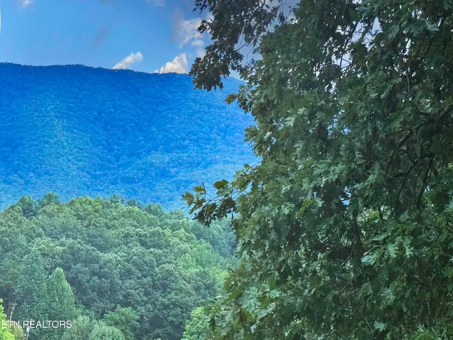 Boxwood Lane, Sevierville, TN 37862 - #2