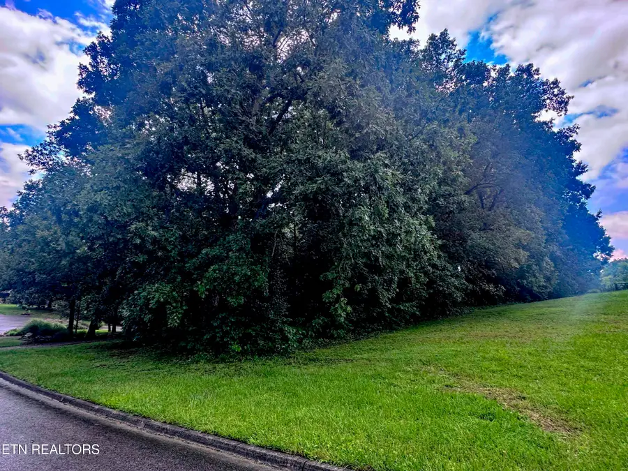 Boxwood Lane, Sevierville, TN 37862 - #3