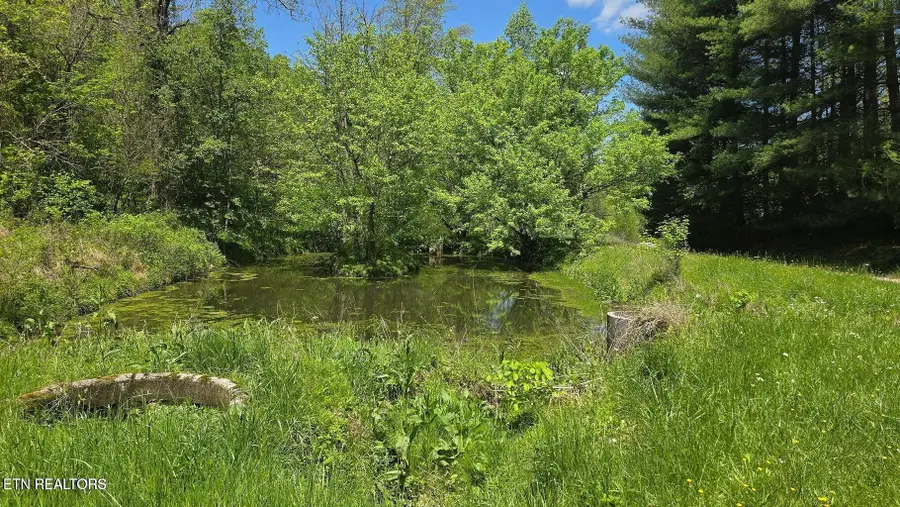 000 Dooley Hollow Rd, Ewing, VA 24248 - #2