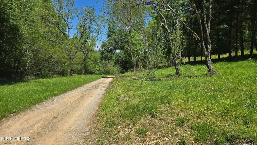 000 Dooley Hollow Rd, Ewing, VA 24248 - #3