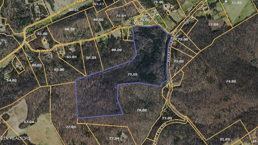 Gray Rd, Maynardville, TN 37807 - #2