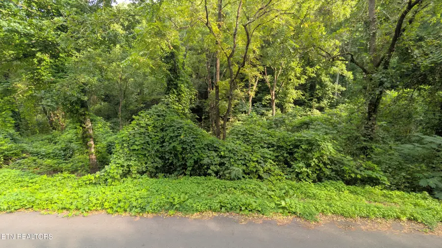1309 Matthews Hollow Rd, Sevierville, TN 37876 - #2