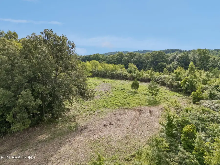 Sheep Ranch Rd, Robbins, TN 37852 - #2