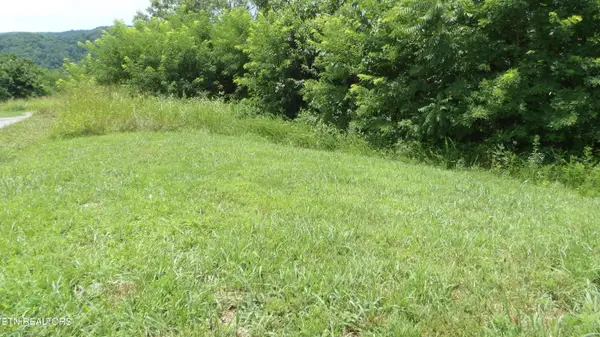 Lot 17D Crappie Lane, Hilham, TN 38568