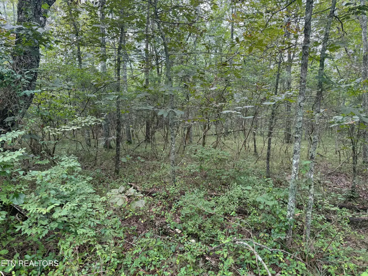 130 Blackburn Drive, Crossville, TN 38558 - #1