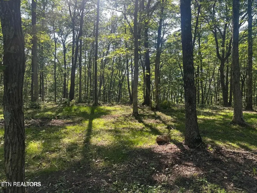 1013 Running Deer, Crab Orchard, TN 37723 - #2