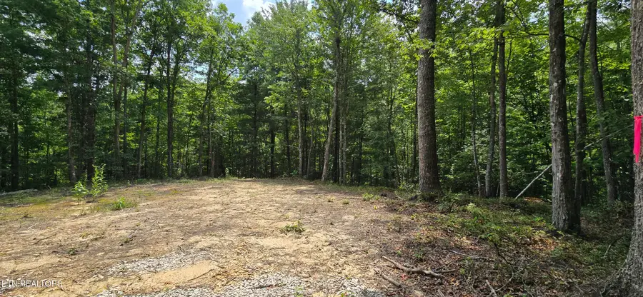 0 Wilderness Tr, Oneida, TN 37841 - #3