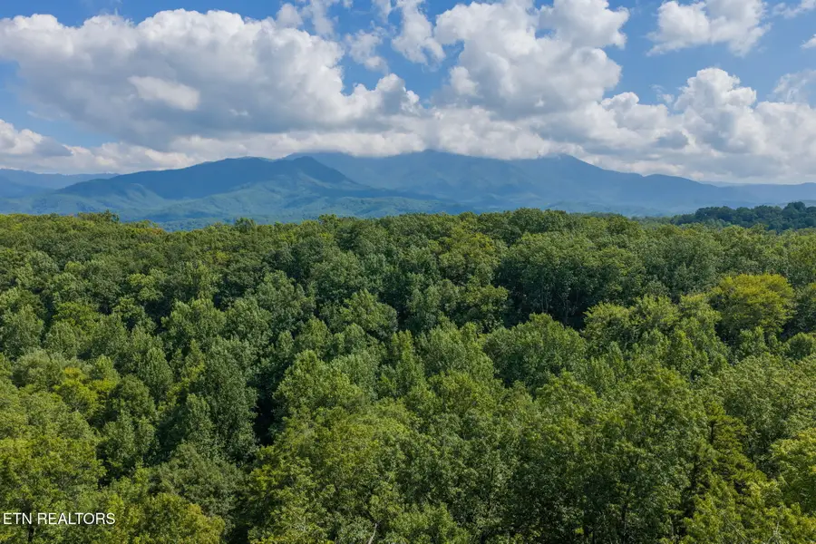 2053 Settlers Ridge Way, Gatlinburg, TN 37738 - #2