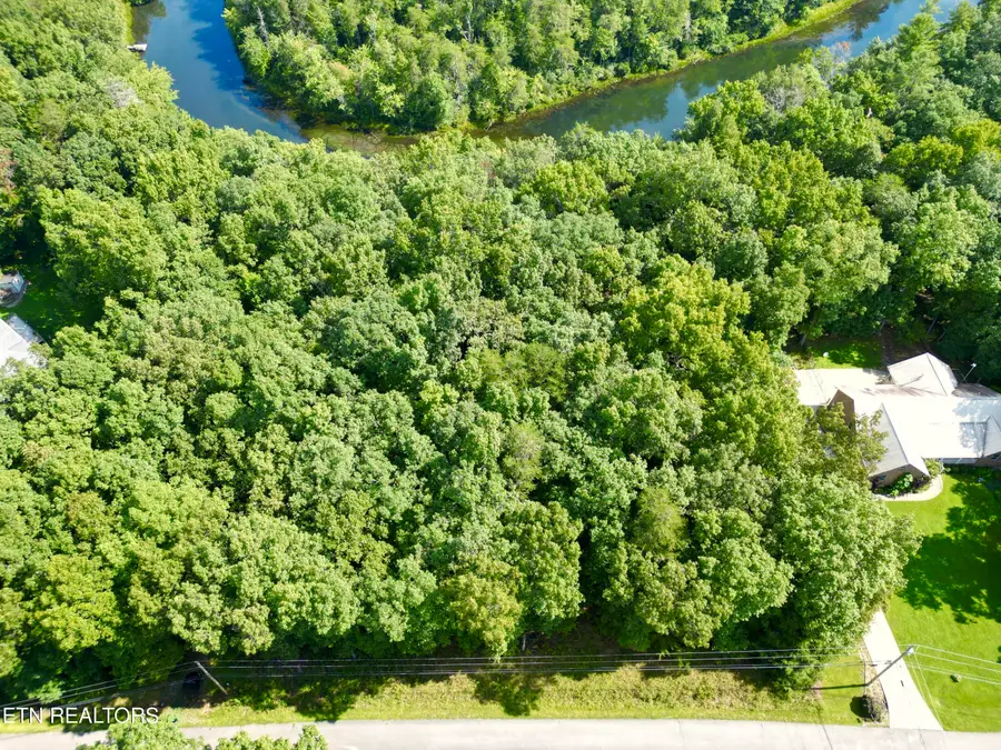Basses Creek Lane - Lot 7, Crossville, TN 38572 - #3