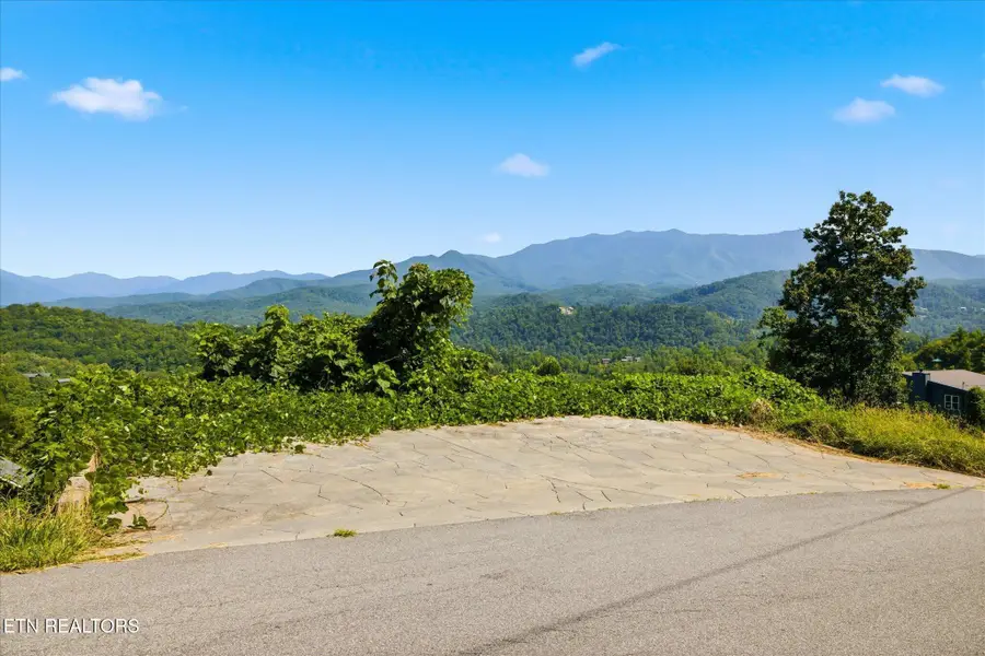812 Beanstalk Court, Gatlinburg, TN 37738 - #3