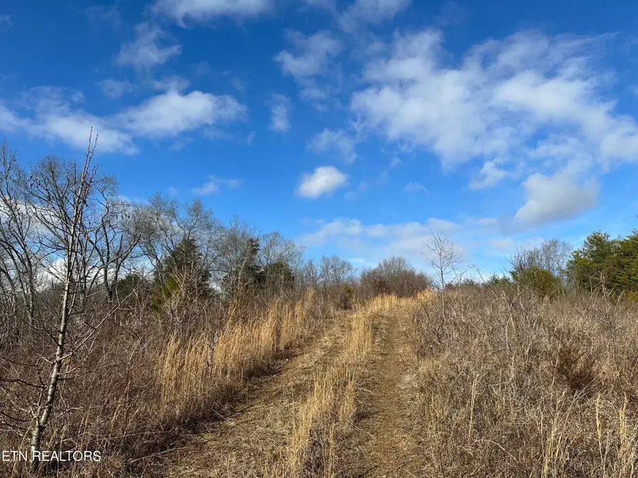 000 Leatherwood Rd, Sevierville, TN 37876 - #2