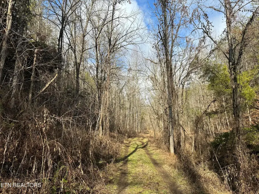 000 Leatherwood Rd, Sevierville, TN 37876 - #3