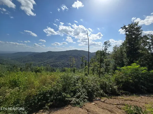 Stanley Creek, Oneida, TN 37841