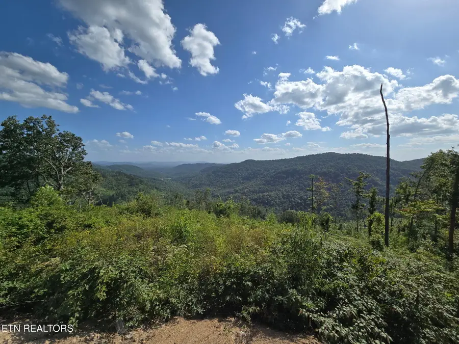 Stanley Creek, Oneida, TN 37841 - #3