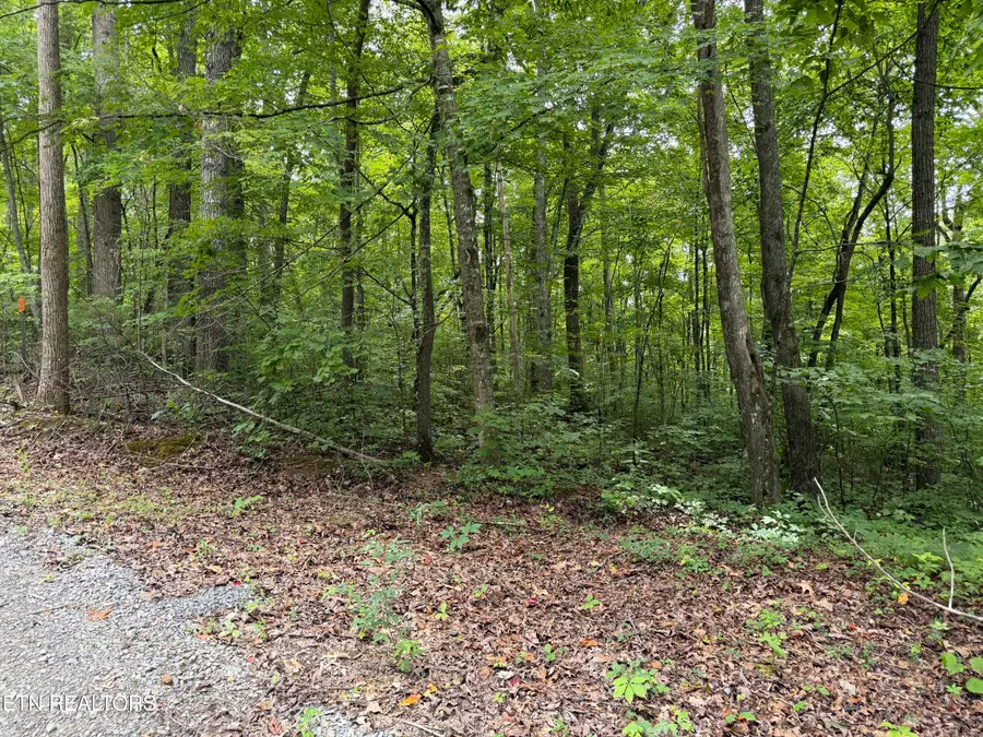 Lot 36 Bass Haven Drive, Sharps Chapel, TN 37866 - #3